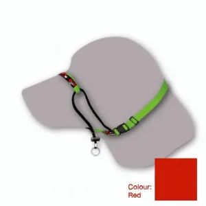 Black Dog Training Halter Red