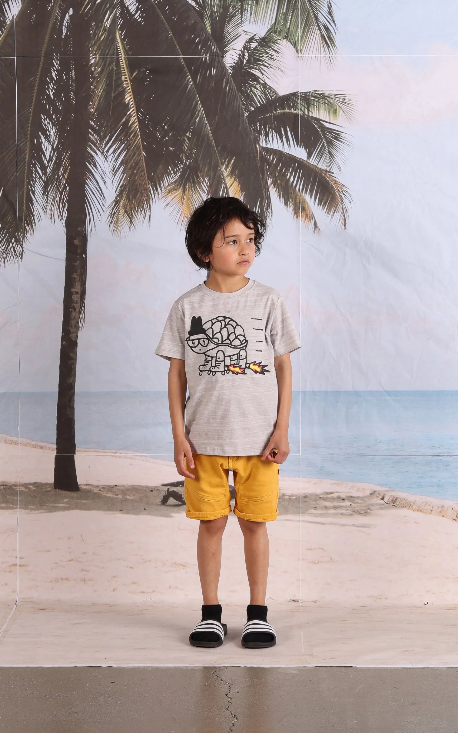 Minti Speedy Turtle Tee - Grey Motley