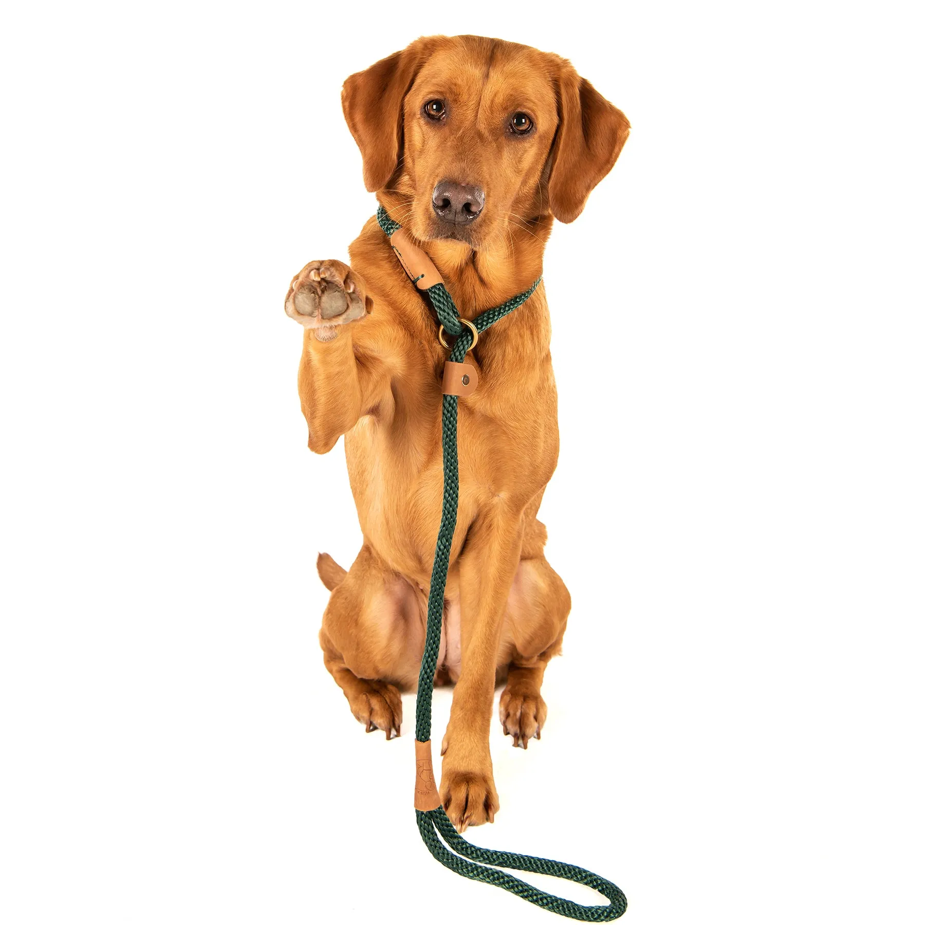 Ruff & Tumble - Dog Leads - All Colours