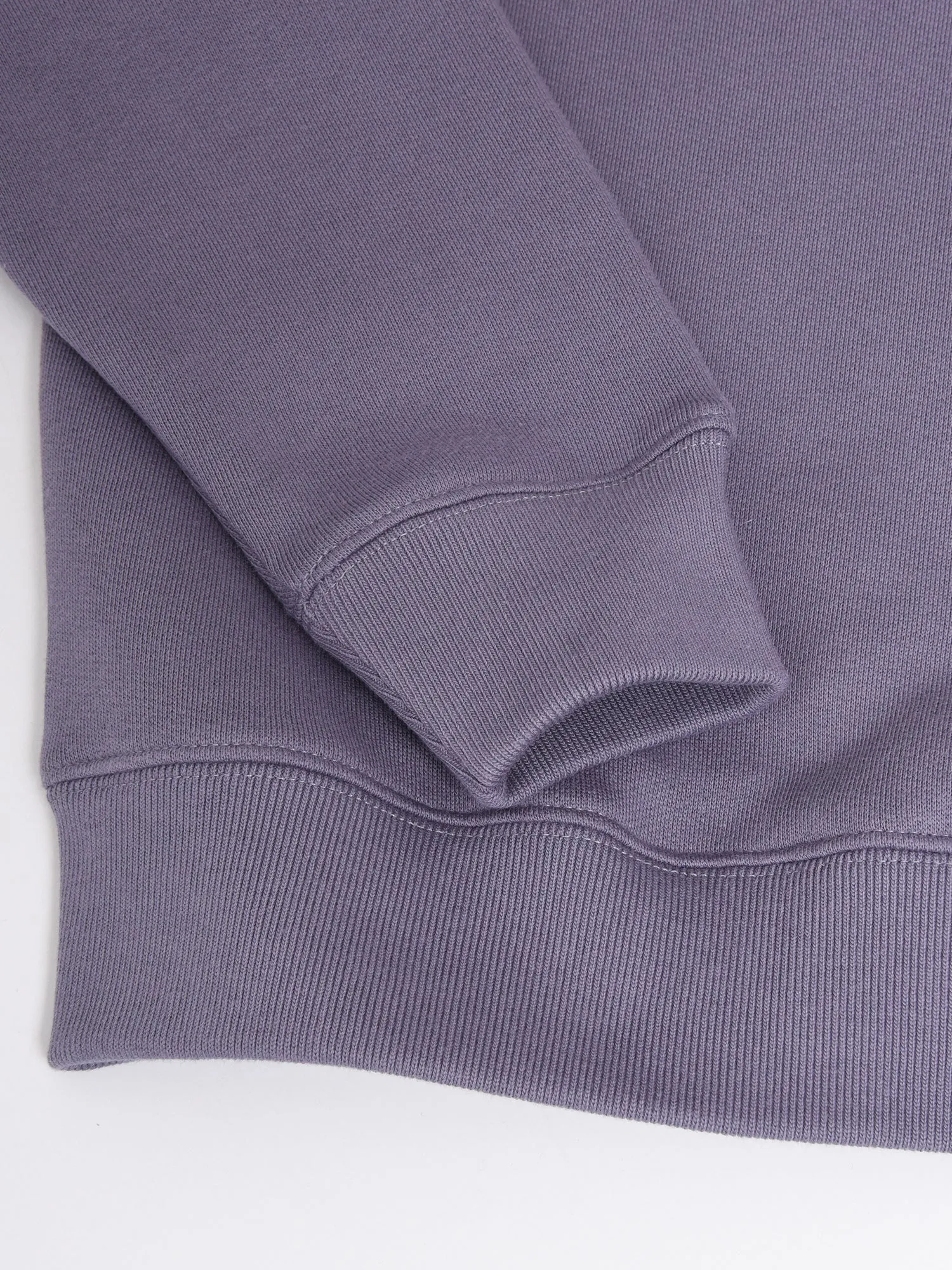 SPEEDY FOX PATCH COMFORT SWEATSHIRT_ASTER
