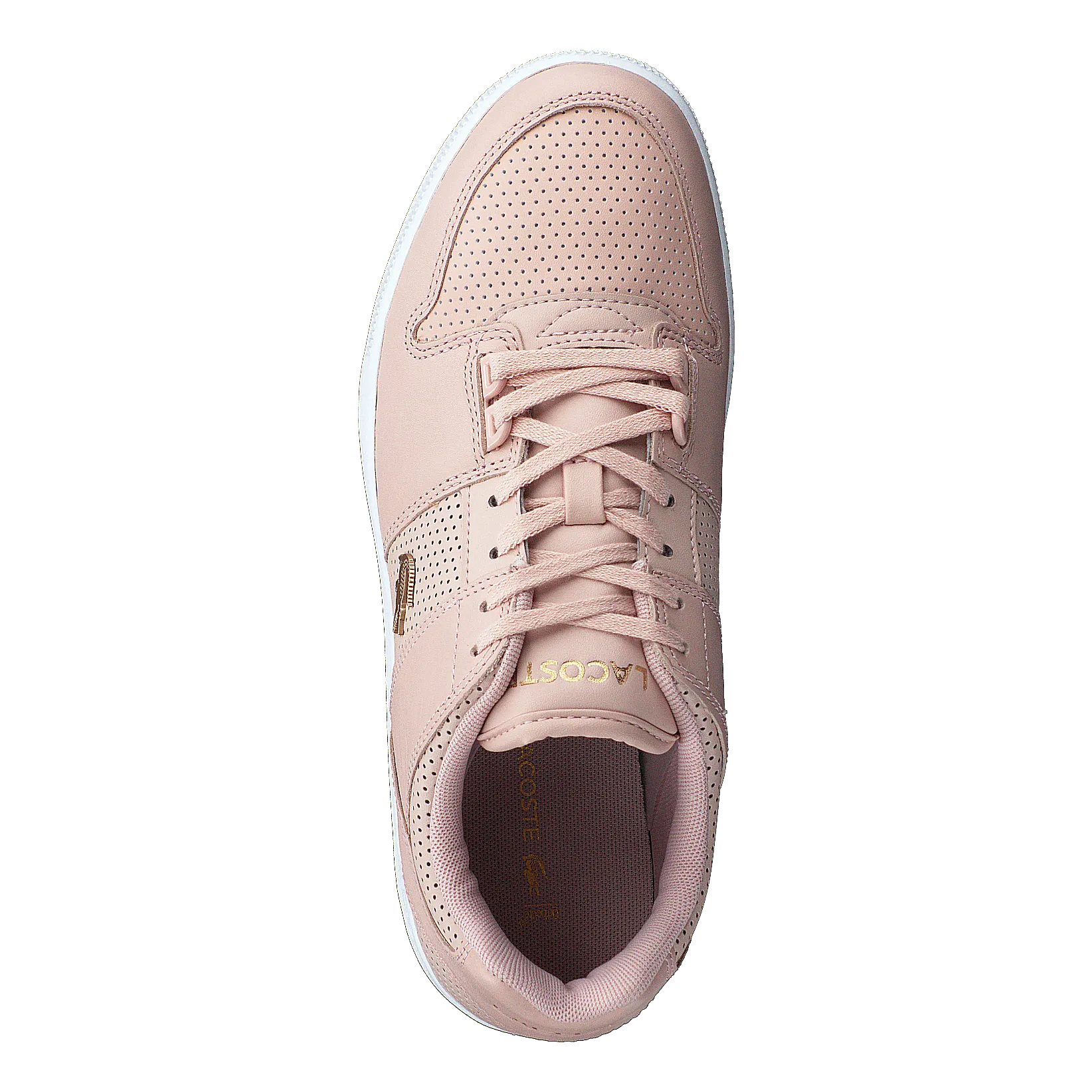 Thrill 120 1 Us Sfa Nat/wht